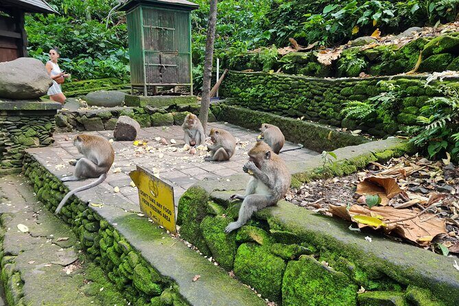 Full Day Best of Ubud Private Tour - What’s Included and What to Budget For