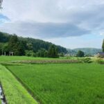 Full-Day Bicycle Tour on the Noto Peninsula - The Guide and Authentic Insights