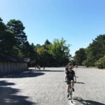 Full Day Biking Tour Exploring the Best of Kyoto - Insights from Travelers’ Reviews