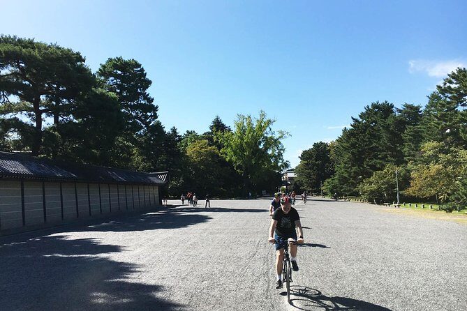 Full Day Biking Tour Exploring the Best of Kyoto - Insights from Travelers’ Reviews