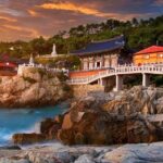 Full-Day Busan Highlights Private Guided Tour - Final Thoughts