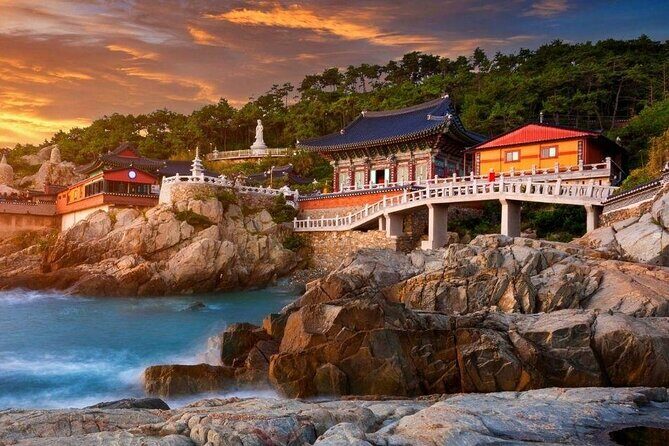 Full-Day Busan Highlights Private Guided Tour - Final Thoughts