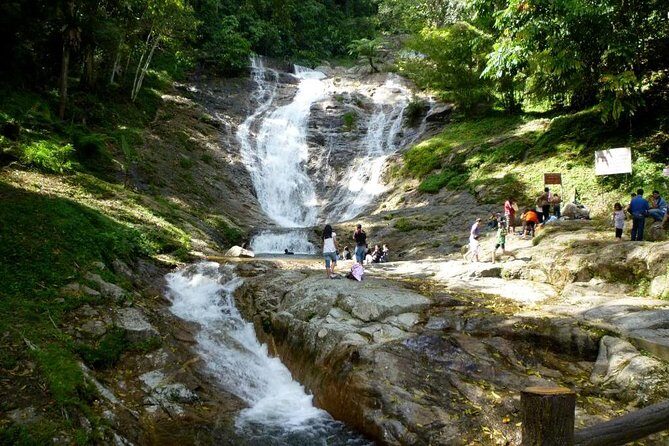 Full-day Cameron Highlands Day Trip from Kuala Lumpur - Authentic Experiences from Reviews