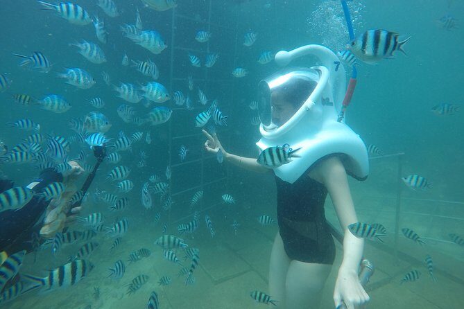 Full-day Cham Islands Cruise from Hoi An with Underwater Walking Excursion - Things to Keep in Mind