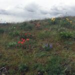 Full-day Columbia Gorge Hiking - Practical Tips for the Day