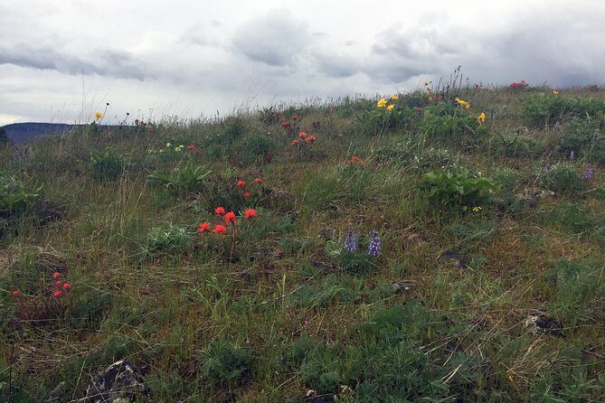 Full-day Columbia Gorge Hiking - Practical Tips for the Day