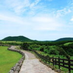 Full Day Customizable Jeju Private Tour with licensed tour guide - The Value of a Private, Customizable Tour