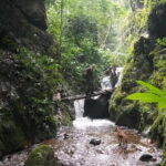 Full Day Doi Saket Hiking Tour - Who Is This Tour Best For?