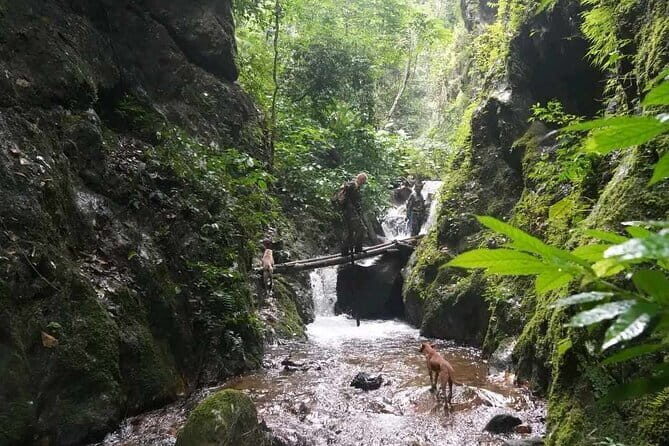 Full Day Doi Saket Hiking Tour - Who Is This Tour Best For?