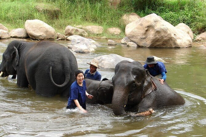 Full Day Elephant Bathing and Bamboo Rafting Tour in Chiang Mai - Practical Details and Value