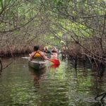 Full Day Everglades Combo Motorboat Eco and Kayak Tour - Who Is This Tour Best For?