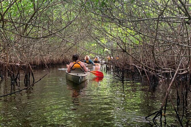 Full Day Everglades Combo Motorboat Eco and Kayak Tour - Who Is This Tour Best For?