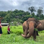 Full Day Experience at Ran-Tong Save & Rescue Elephant Centre - Summary: Who Is This Tour Best For?