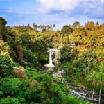 Full-Day Highlights and Best of Ubud Village - Who Should Book This Tour?