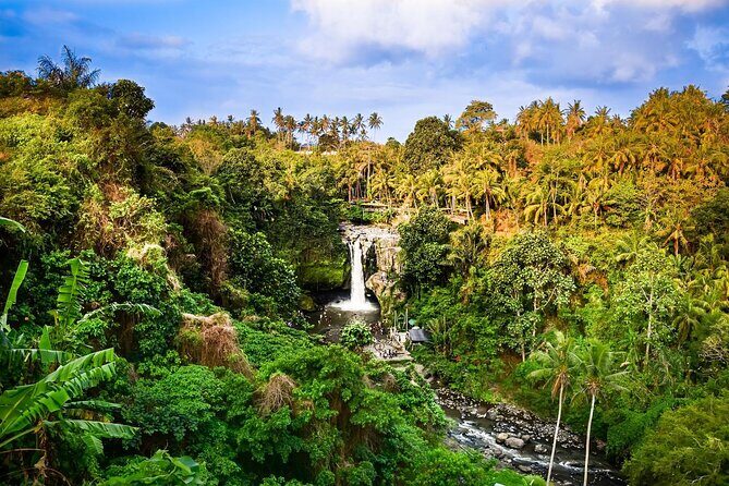 Full-Day Highlights and Best of Ubud Village - Who Should Book This Tour?
