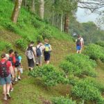 Full-Day Hike and Bike Tour from Chiang Mai - Who Will Love This Tour?