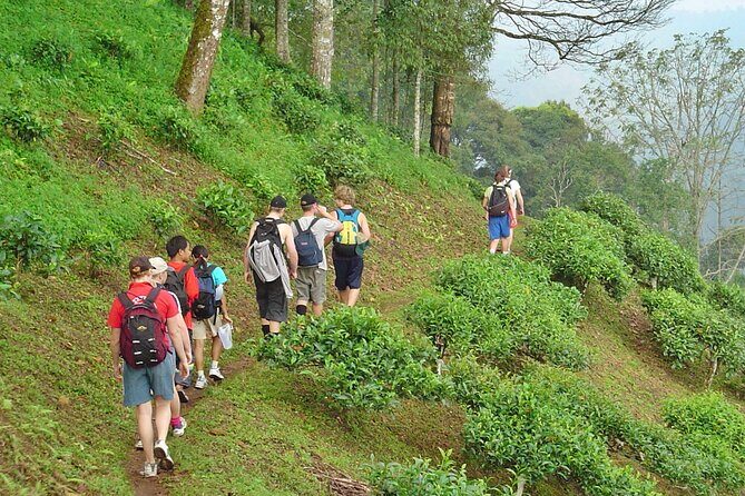 Full-Day Hike and Bike Tour from Chiang Mai - Who Will Love This Tour?