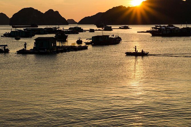 Full day hiking in Jungle of Cat Ba National park - Final Thoughts