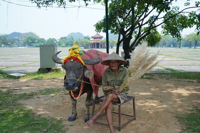 Full Day Hoa Lu/Tam Coc/ Mua Cave Tour by Limousine Bus - Who Is This Tour Best For?