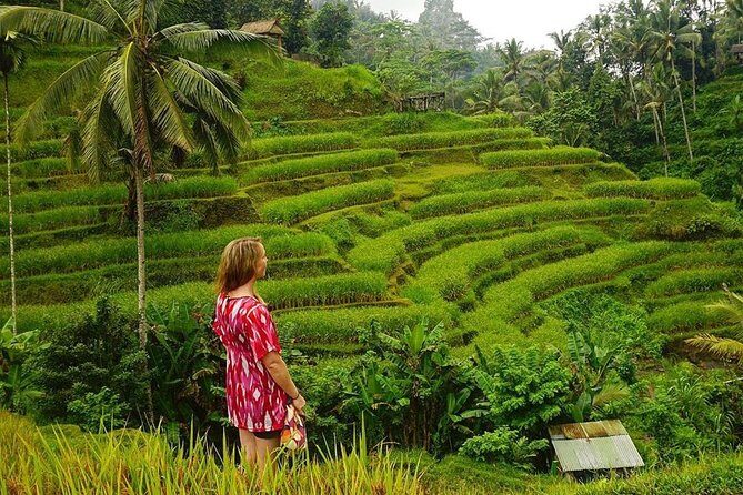 Full-Day in Bali: Private Design-Your-Own Tour - Who Will Love This Tour?