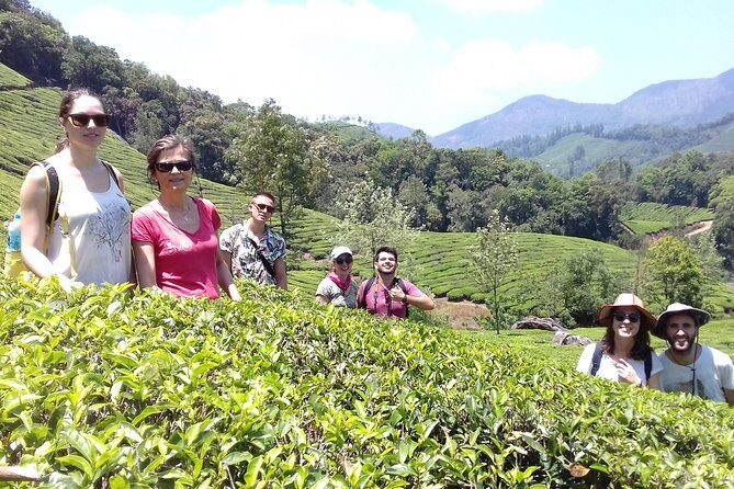 Full day in hiking in Munnar (By Munnar Info) - Authentic Insights from Past Participants