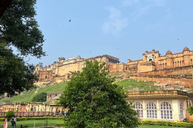 Full-Day Jaipur Highlights Explore the Pink City with local guide - What the Reviewers Say