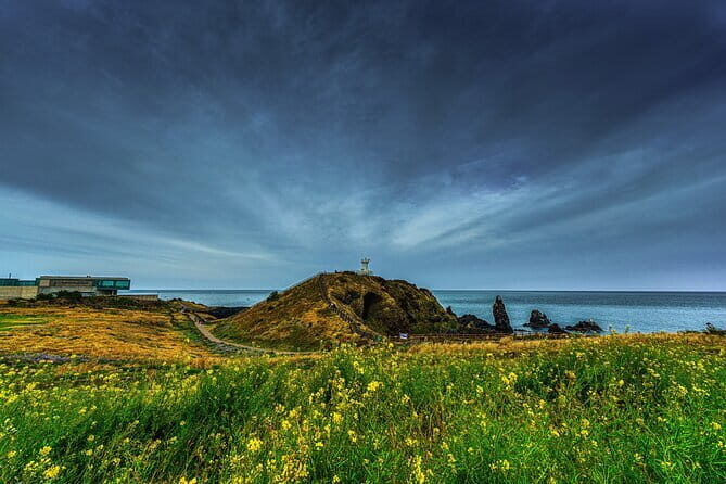 Full-Day Jeju Island UNESCO Tour for Cruise Layover Guests - What Sets This Tour Apart