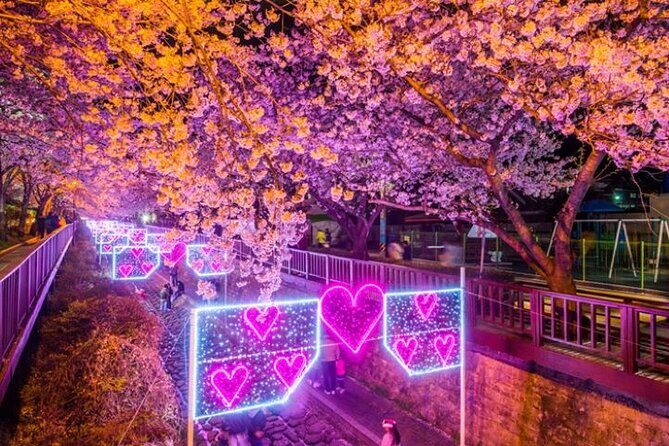 Full-Day Jinhae Cherry Blossom festival Private tour - Who Should Consider This Tour?