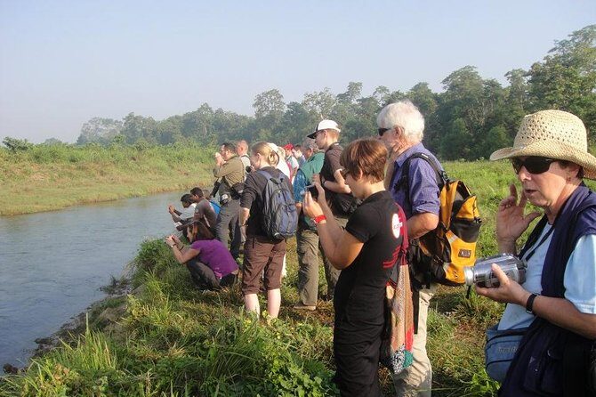 Full Day Jungle Safari Tours in Chitwan National Park Nepal - Exploring the Full-Day Jungle Safari Experience
