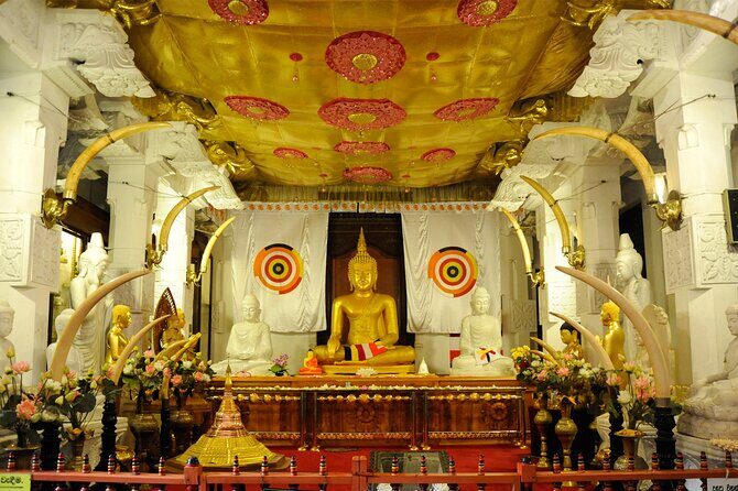 Full day Kandy City Tour by Tuk Tuk - Practical Details & Value Analysis