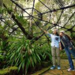 Full-Day Kinabalu Park and Poring Hot Spring Day Trip - FAQs