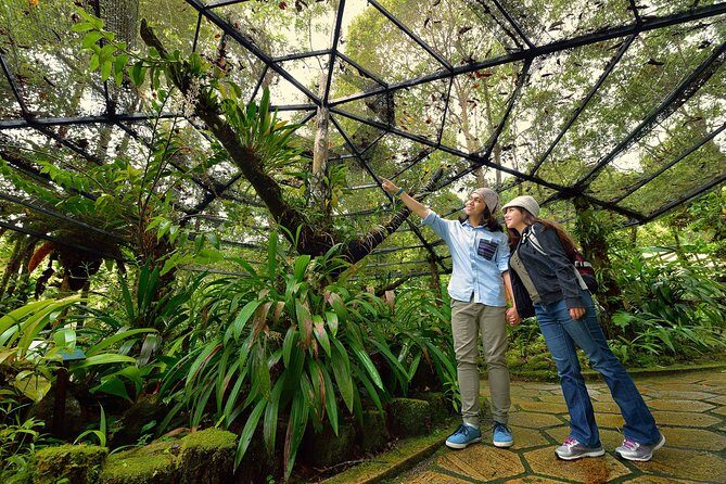Full-Day Kinabalu Park and Poring Hot Spring Day Trip - FAQs