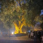 Full Day Lumbini Tour - Authentic Insights from Travelers