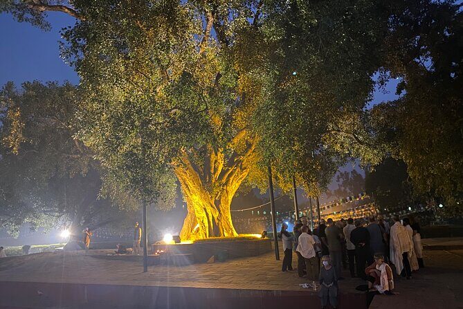 Full Day Lumbini Tour - Authentic Insights from Travelers