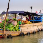 Full-Day Mekong Delta Tour - Final Thoughts