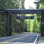 Full-Day Mt Rainier National Park Private Tour in SUV - Practical Details and What They Mean for You