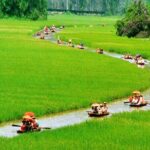 Full Day Ninh Binh - Trang An - Bai Dinh - Mua Cave & Transfer - What Makes This Tour Stand Out?