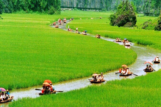 Full Day Ninh Binh - Trang An - Bai Dinh - Mua Cave & Transfer - What Makes This Tour Stand Out?