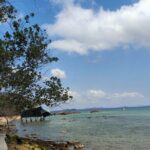 Full Day North of Phu Quoc Island Private Tour by Local Guide - Final Thoughts: Is It Worth It?
