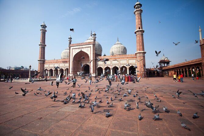 Full Day Old and New Delhi Private Tour with Guide - Authentic Feedback from Travelers