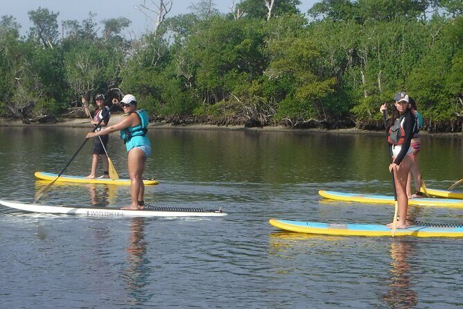 Full-Day Paddle Board Rental in Naples, Florida - Why This Rental Offers Great Value