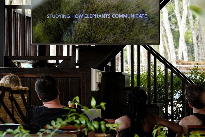 Full-Day Phuket Elephant Sanctuary Tour with Lunch and Dinner - What Makes This Tour Special?