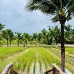 Full-Day Phuket Local Life Culture Tour with Pickup and Lunch - Final Thoughts