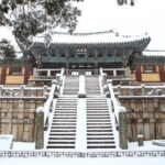 Full Day Private car tour to UNESCO Gyeongju&Yangdong village - The Practicalities