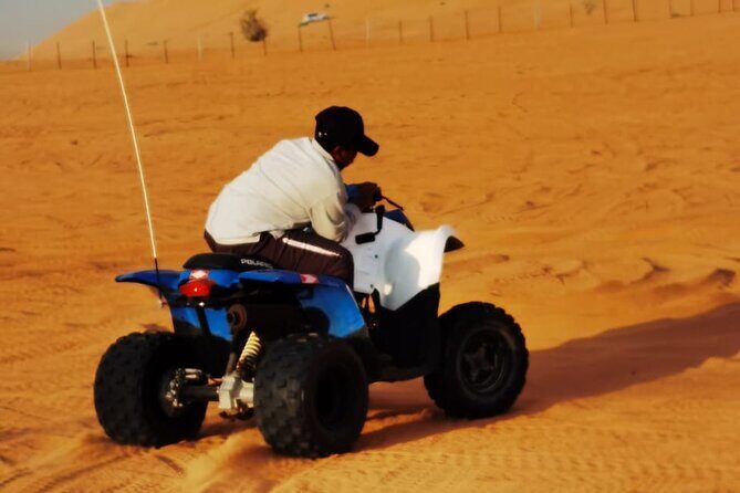 Full Day Private Desert Adventure - Who Should Consider This Tour?