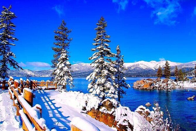 Full Day Private Lake Tahoe Tour from Oakland - Who Will Love This Tour?