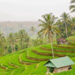 Full-Day Private North Bali Tour with Free WiFi - What Makes This Tour Stand Out?