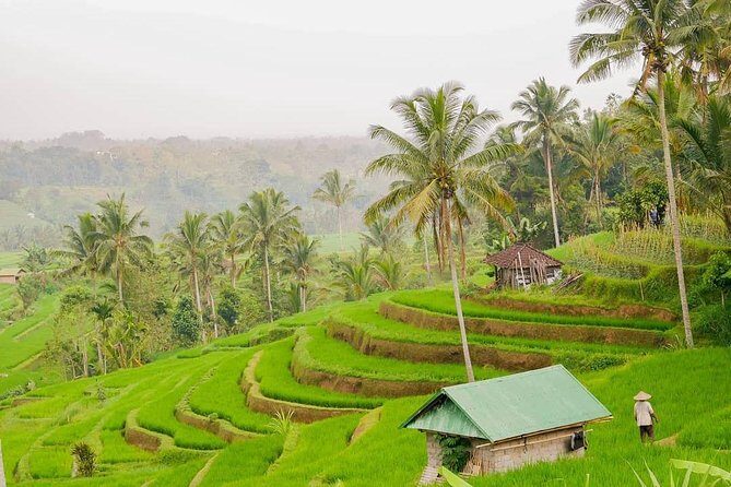 Full-Day Private North Bali Tour with Free WiFi - What Makes This Tour Stand Out?