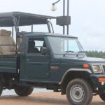 Full Day Private Safari at Yala National Park by Yala La Safari Tours - Exploring Yala National Park: What to Expect