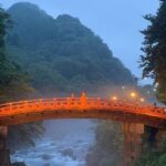 Full Day Private tour & sightseeing to Nikko(Eng speaking Driver) - Authentic Insights from Travelers